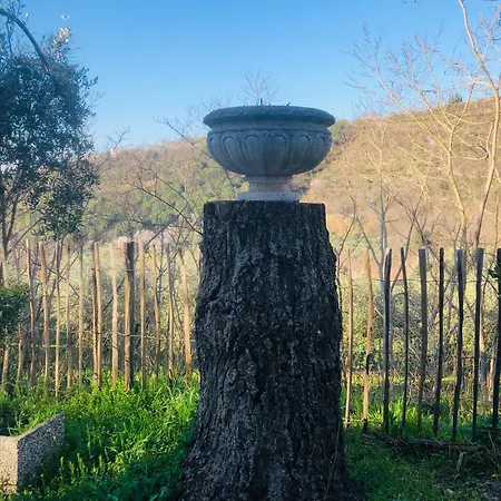 Tavern Di Arqua' * Arquà Petrarca